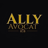 Voir le profil de Me Antoine Ally Avocat - Saint-Lambert