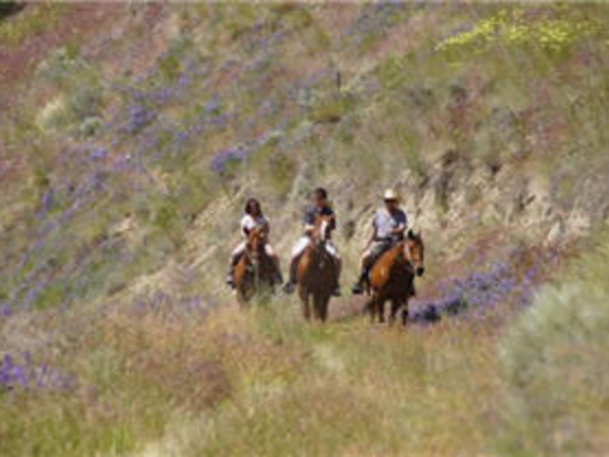 photo Okanagan Stables.com