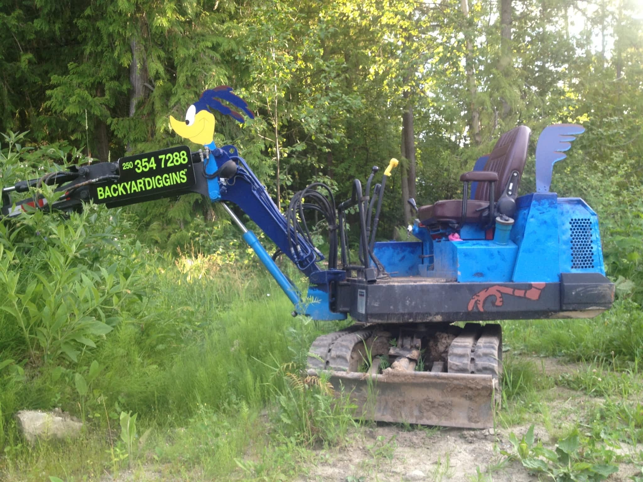 photo Backyard Diggin's