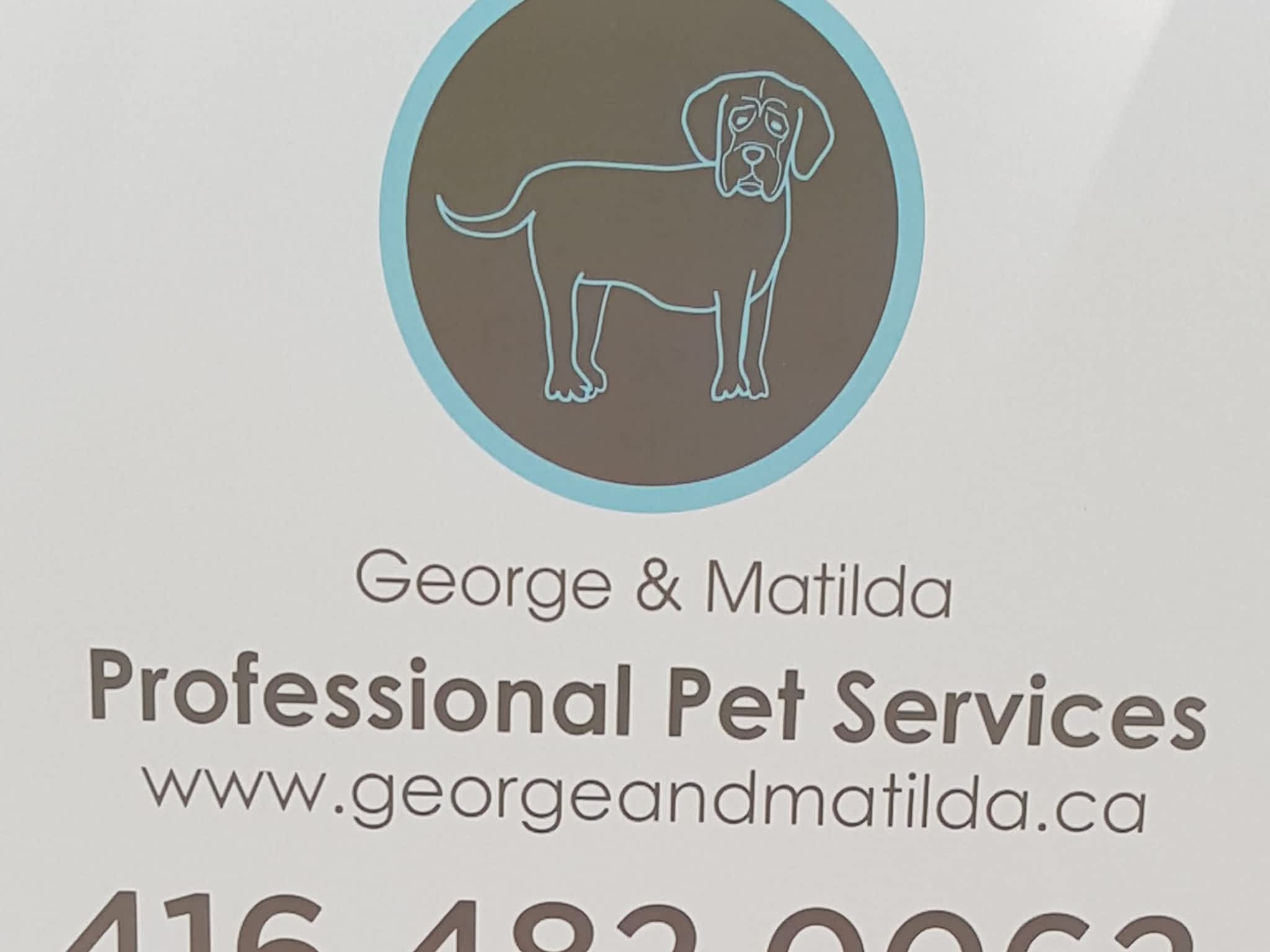 photo George & Matilda Inc