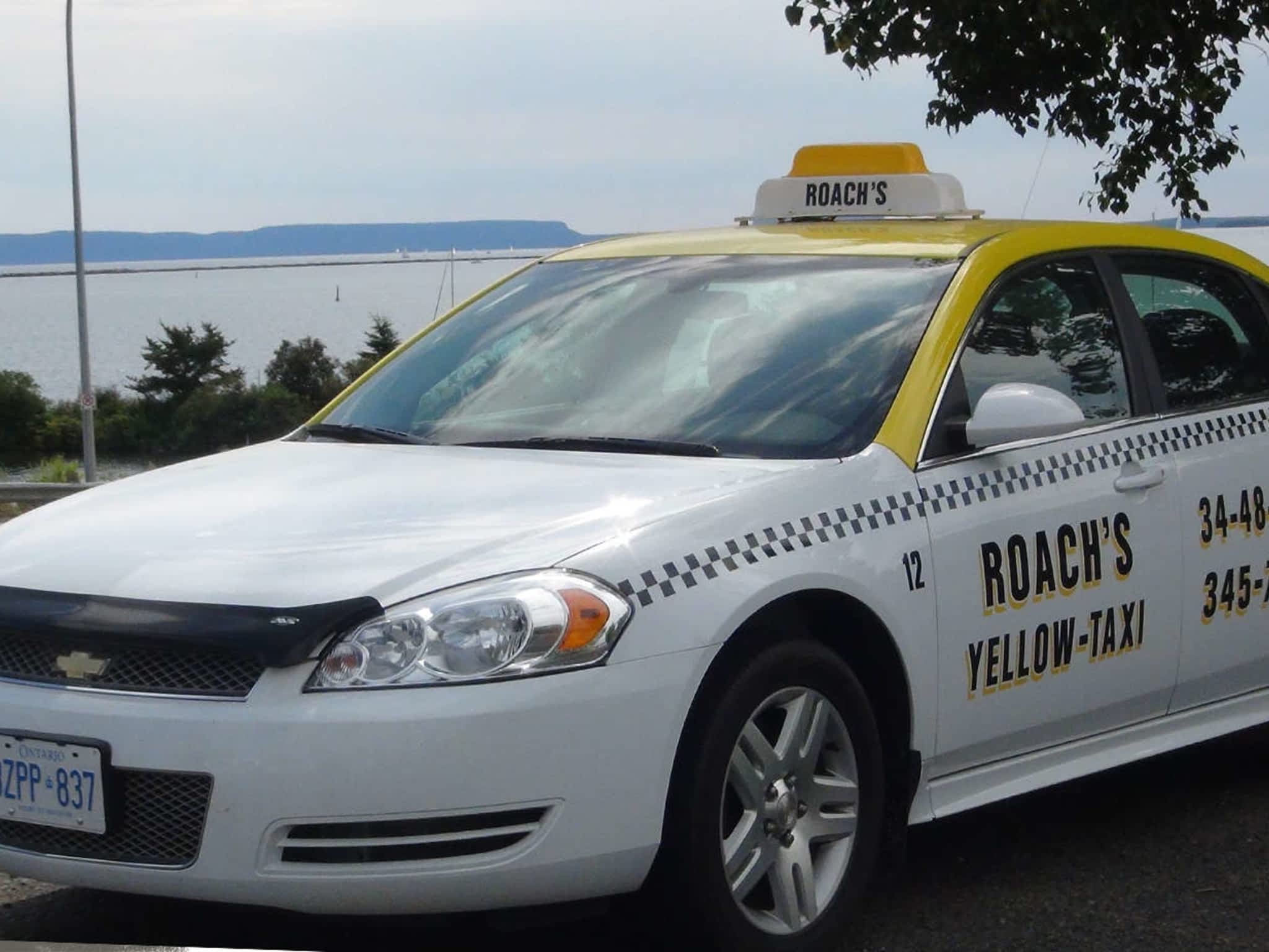 photo Roach's Yellow Taxi