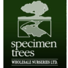Specimen Trees Wholesale Nurseries Ltd - Logo