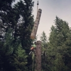Habitat Tree Service - Tree Service