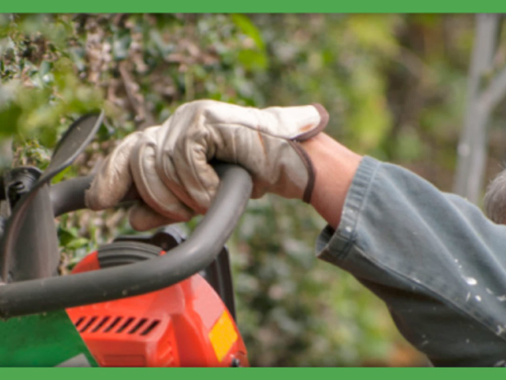 photo Reliable Tree Service