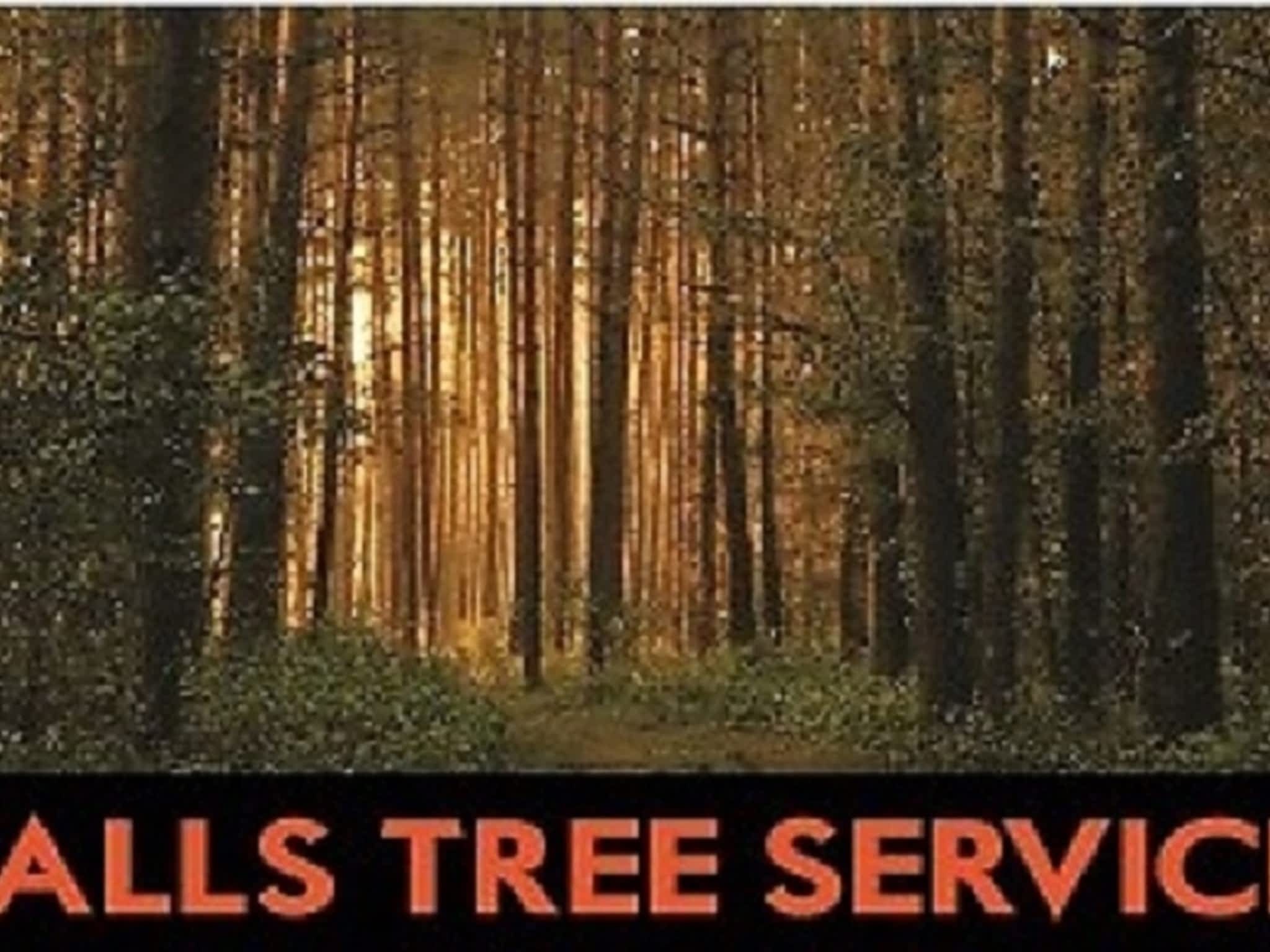 photo Falls Tree Service