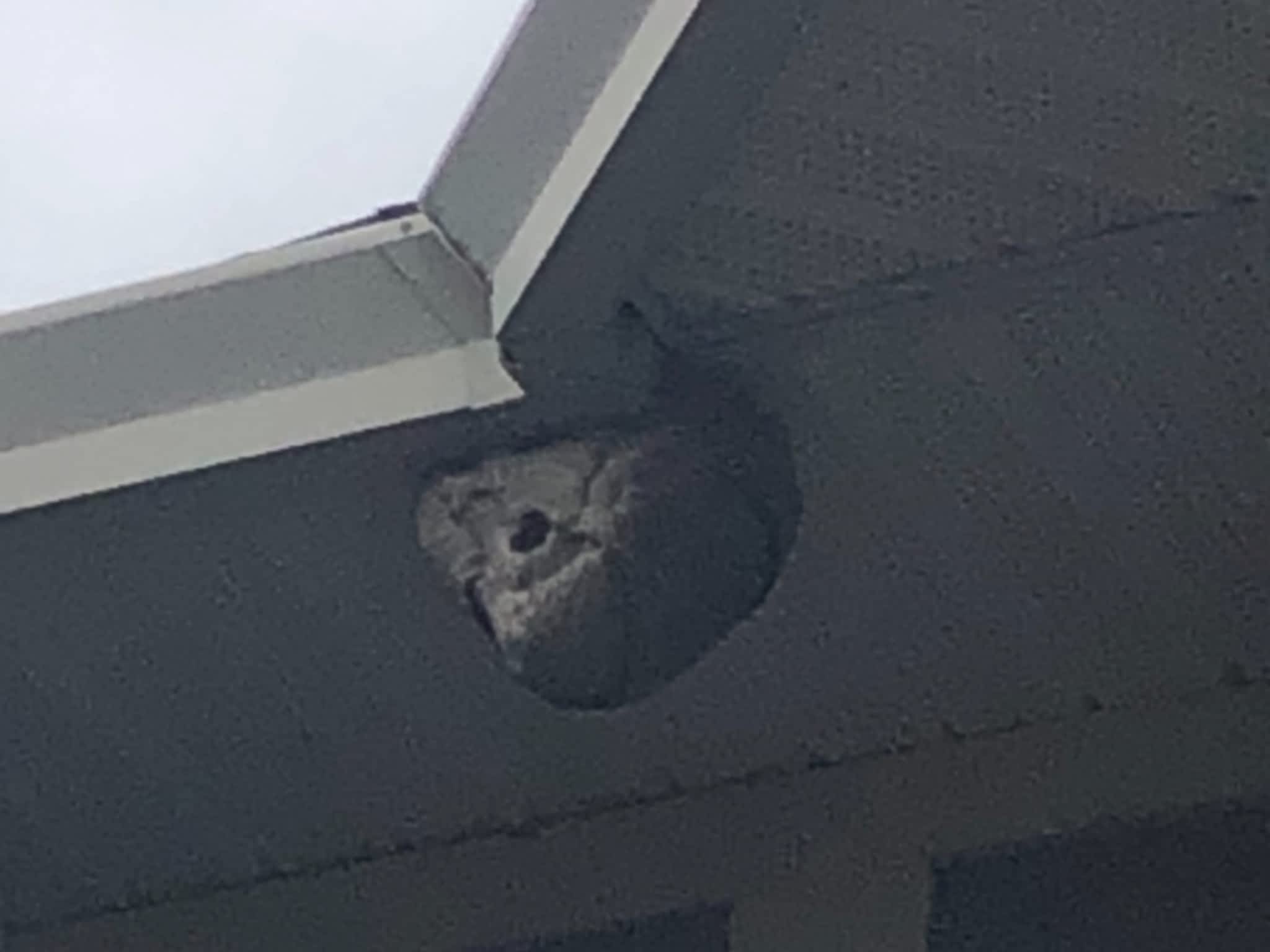 photo Phantom Pest Control Maple Ridge