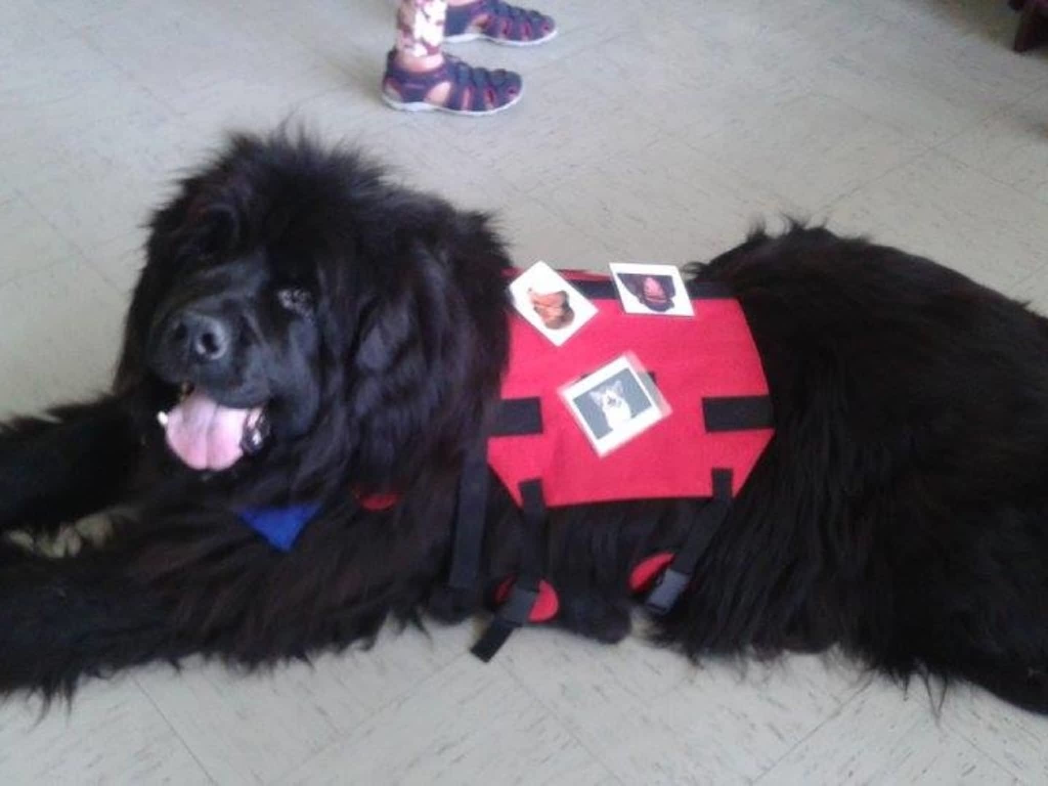 photo Services d'Interventions Mélissa Robitaille