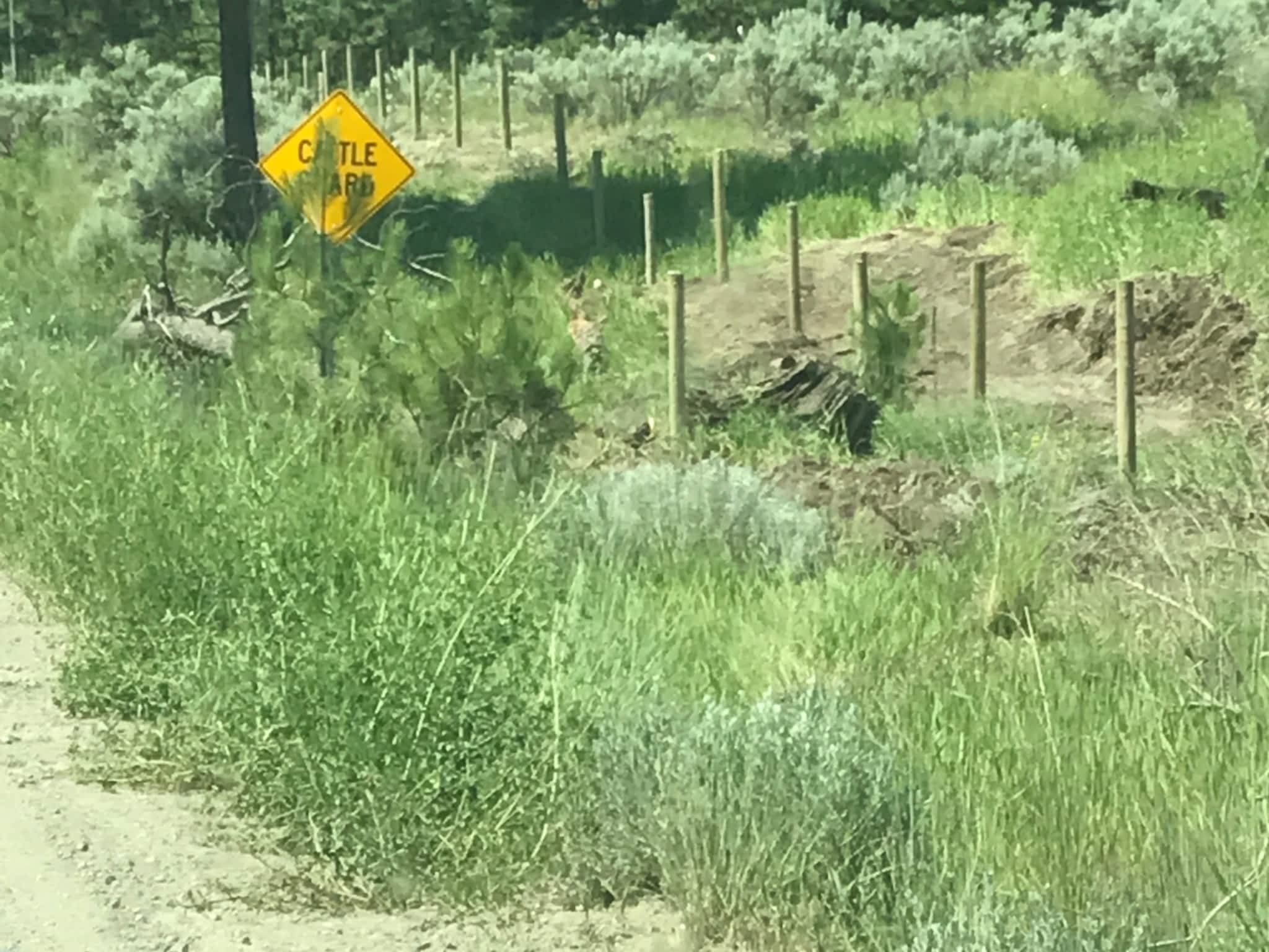 photo JD Contracting