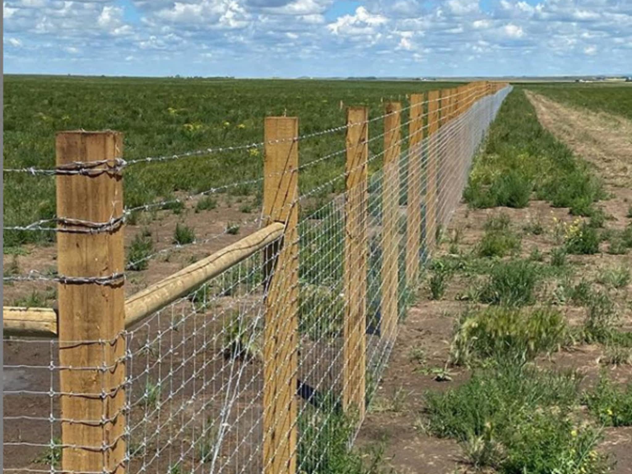 photo Lynx Brand Fence Products