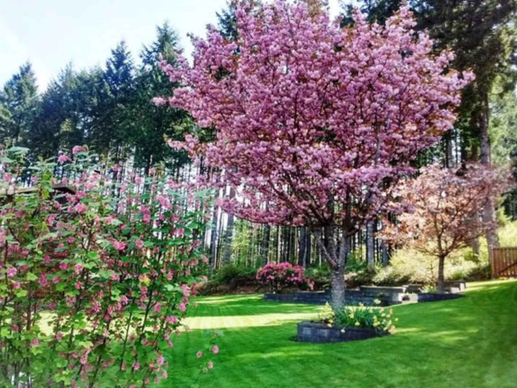photo Libra Tree Services Ltd