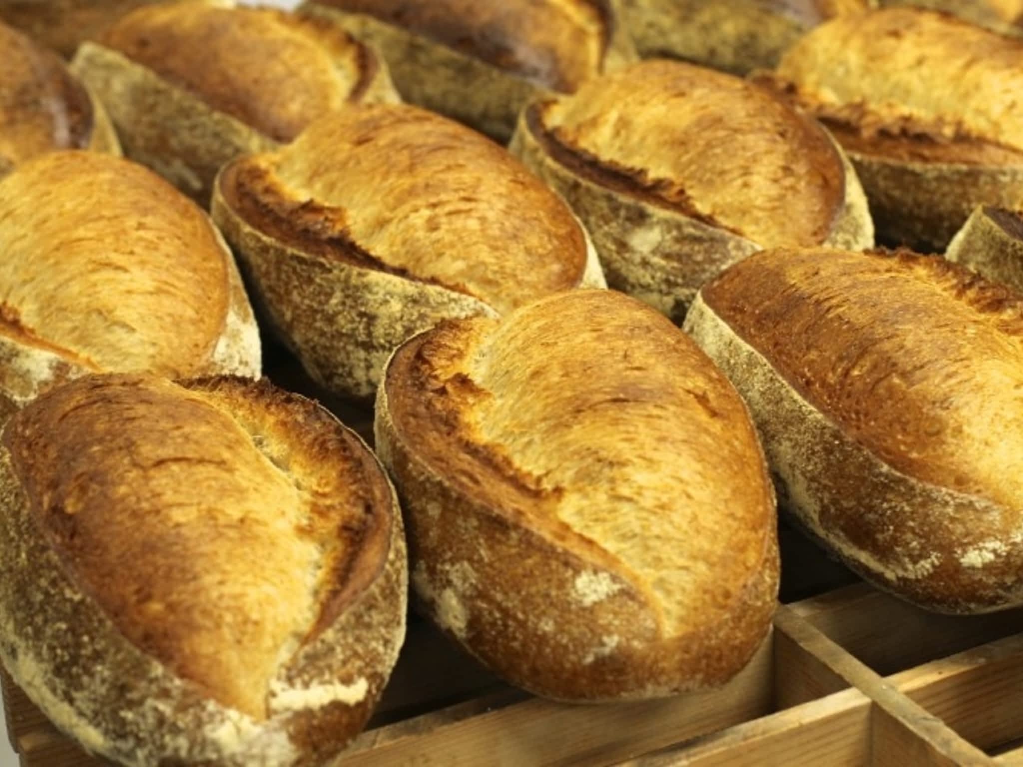 photo Beyond Bread Ltd