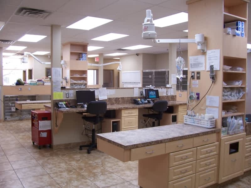 Fallsview veterinary emergency clinic cheap