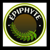 View Épiphyte’s Neufchatel profile