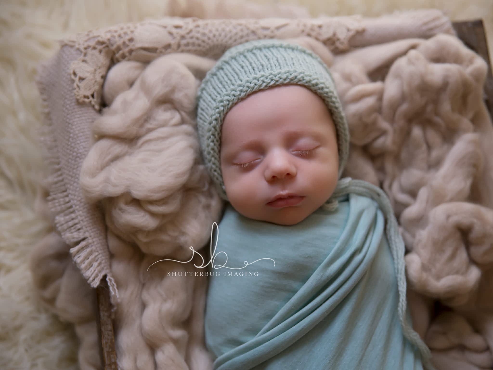 photo Shutterbug Imaging