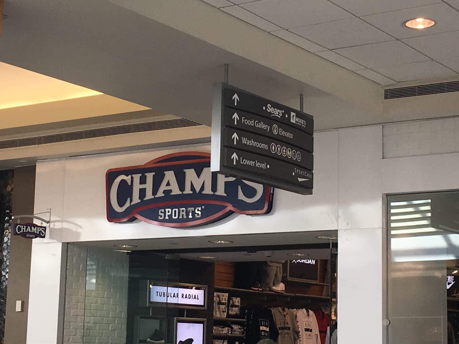 champion polo park