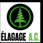 Élagage C.A - Service d'entretien d'arbres