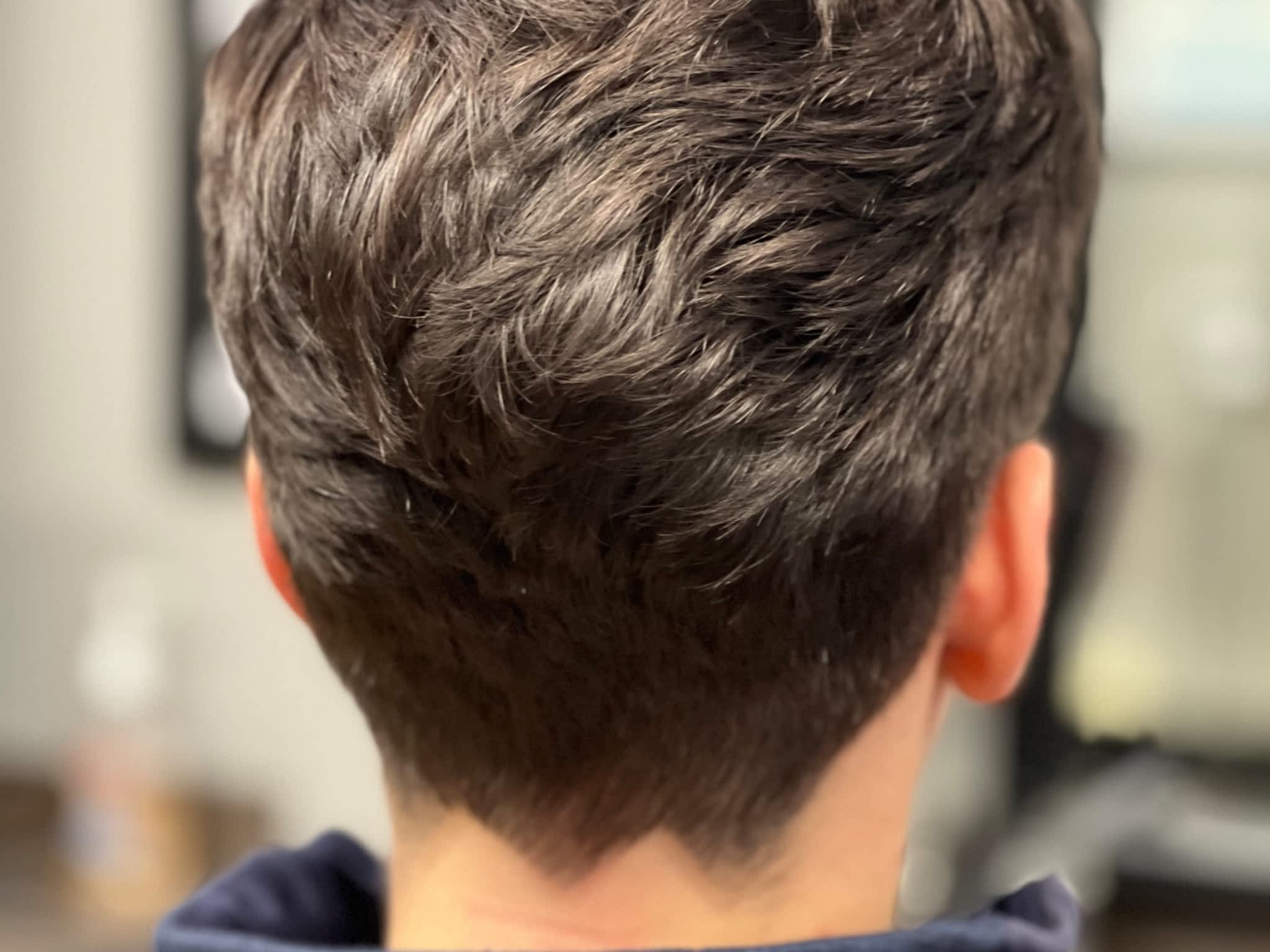 photo HIP- Hairs In Place Cont'd