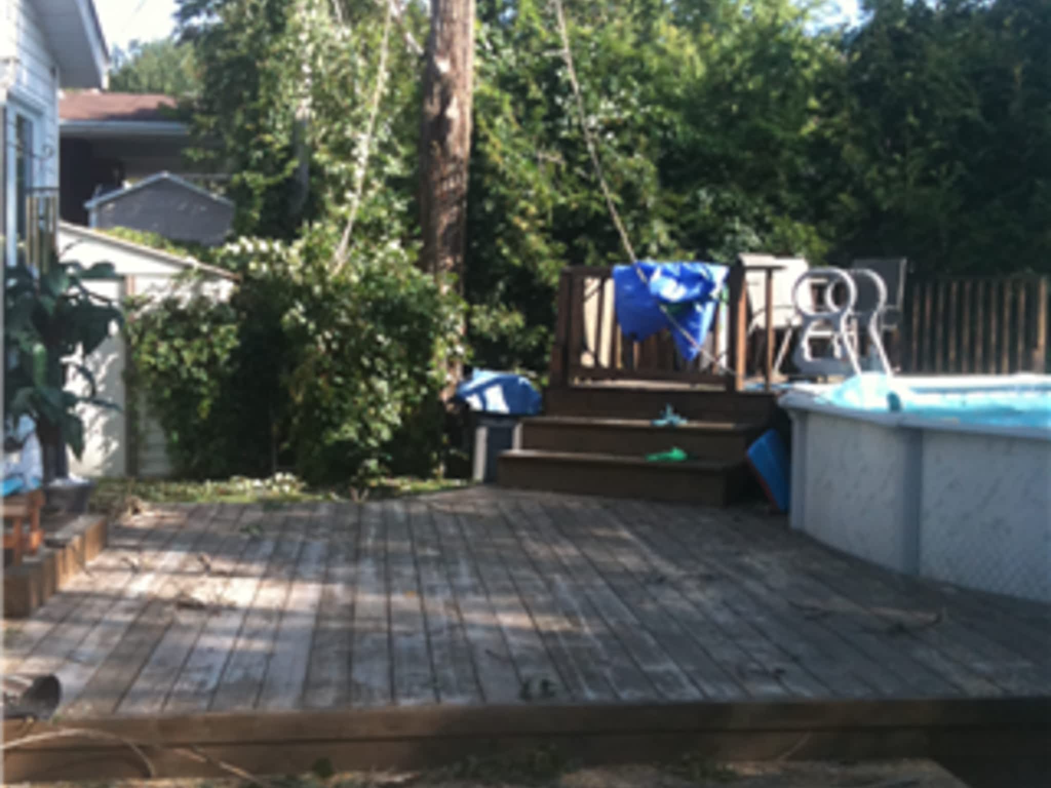 photo Allmac Tree Service