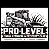 Prolevel Snow Removal & Property Maintenance - Snow Removal