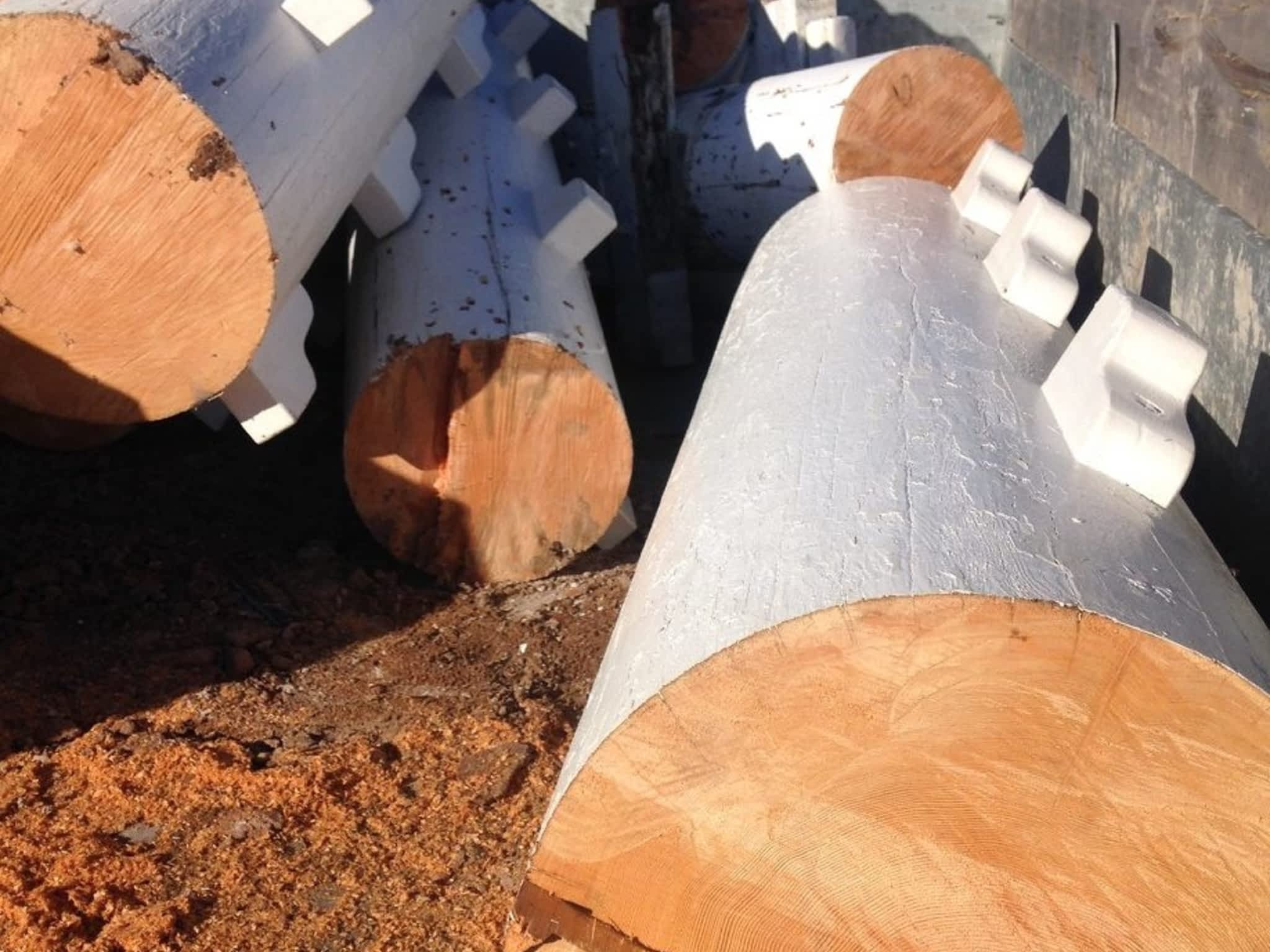 photo Solid Tree Care