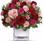 Ryerse S Garden Gallery Opening Hours 777 Norfolk St N Norfolk On