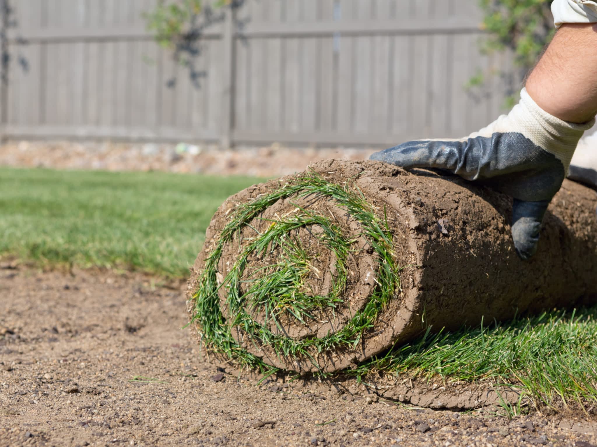 photo Big City Landscaping