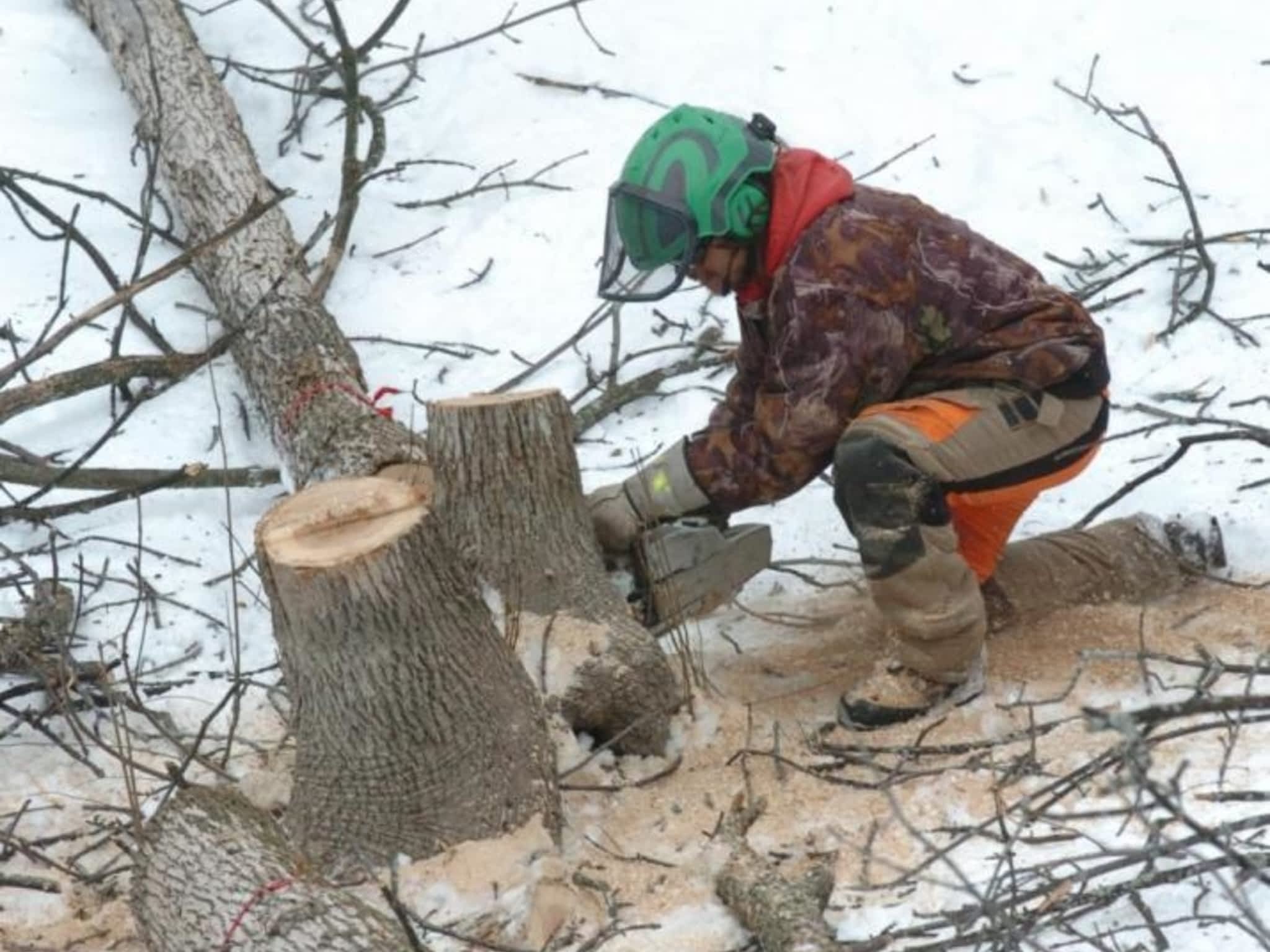 photo Arboriculture Arbo-Scape