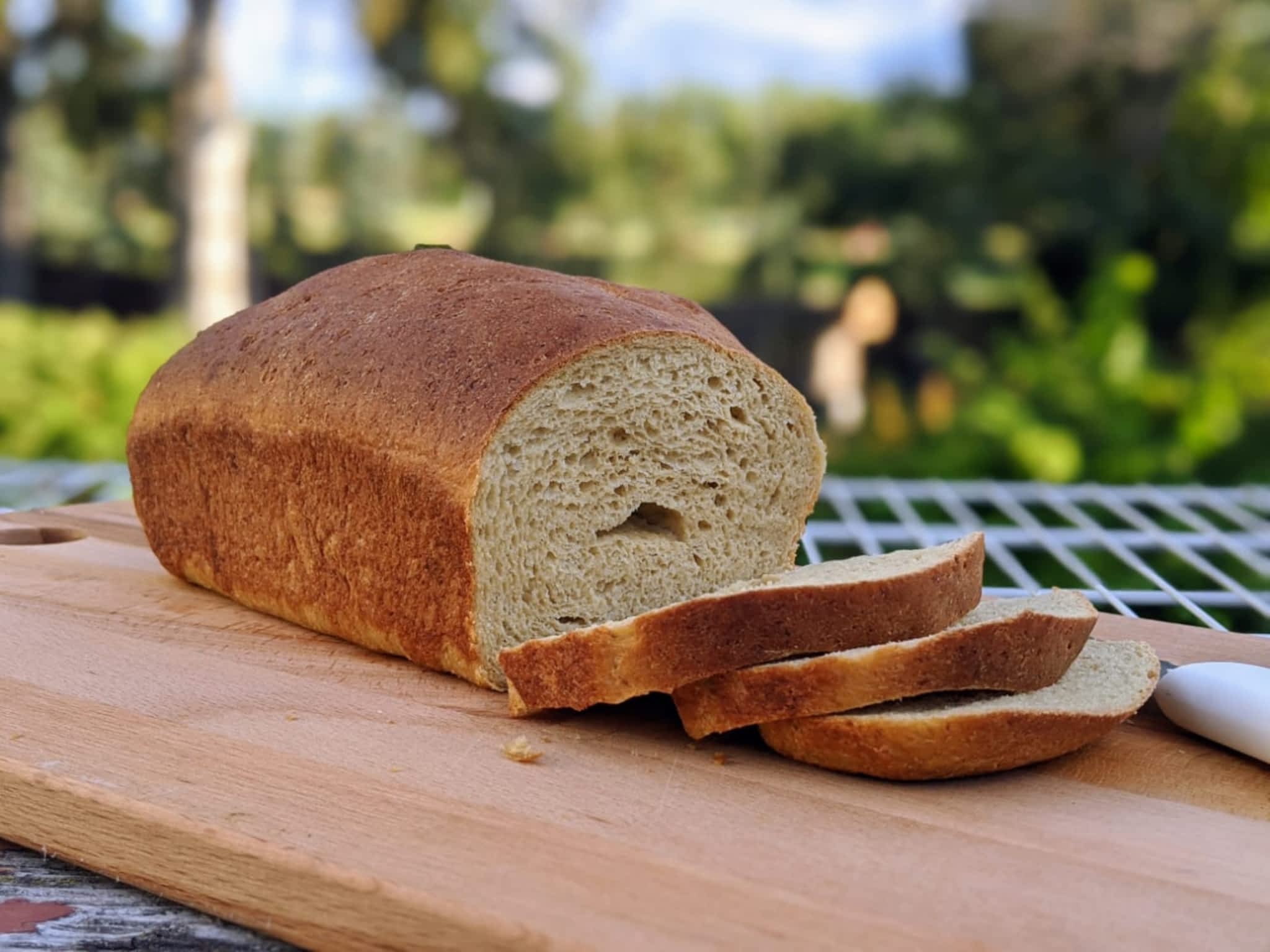 photo Bow River Bread