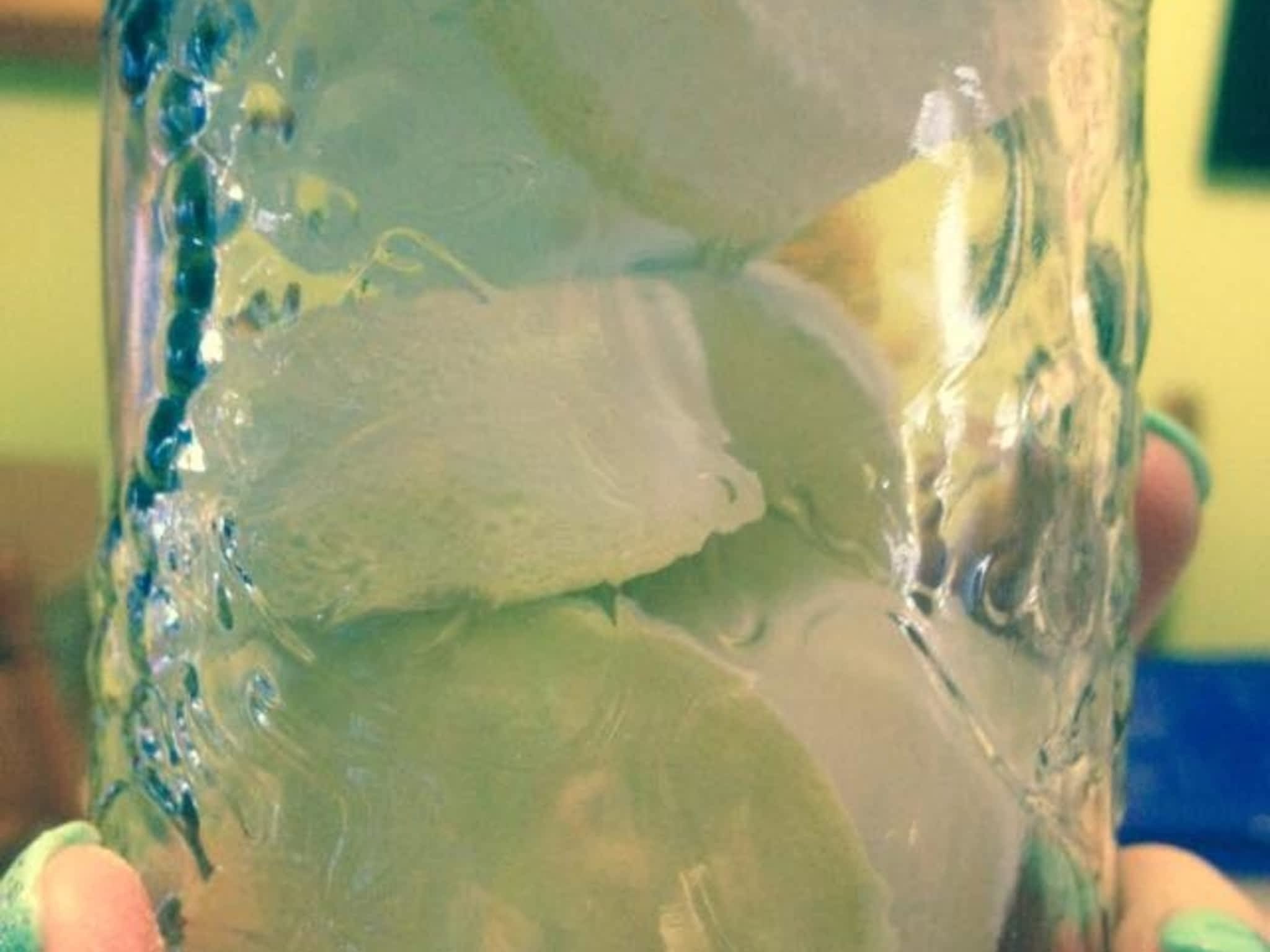 photo Laura's Essentials