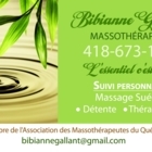 Bibianne Gallant Massothérapeute - Massage Therapists