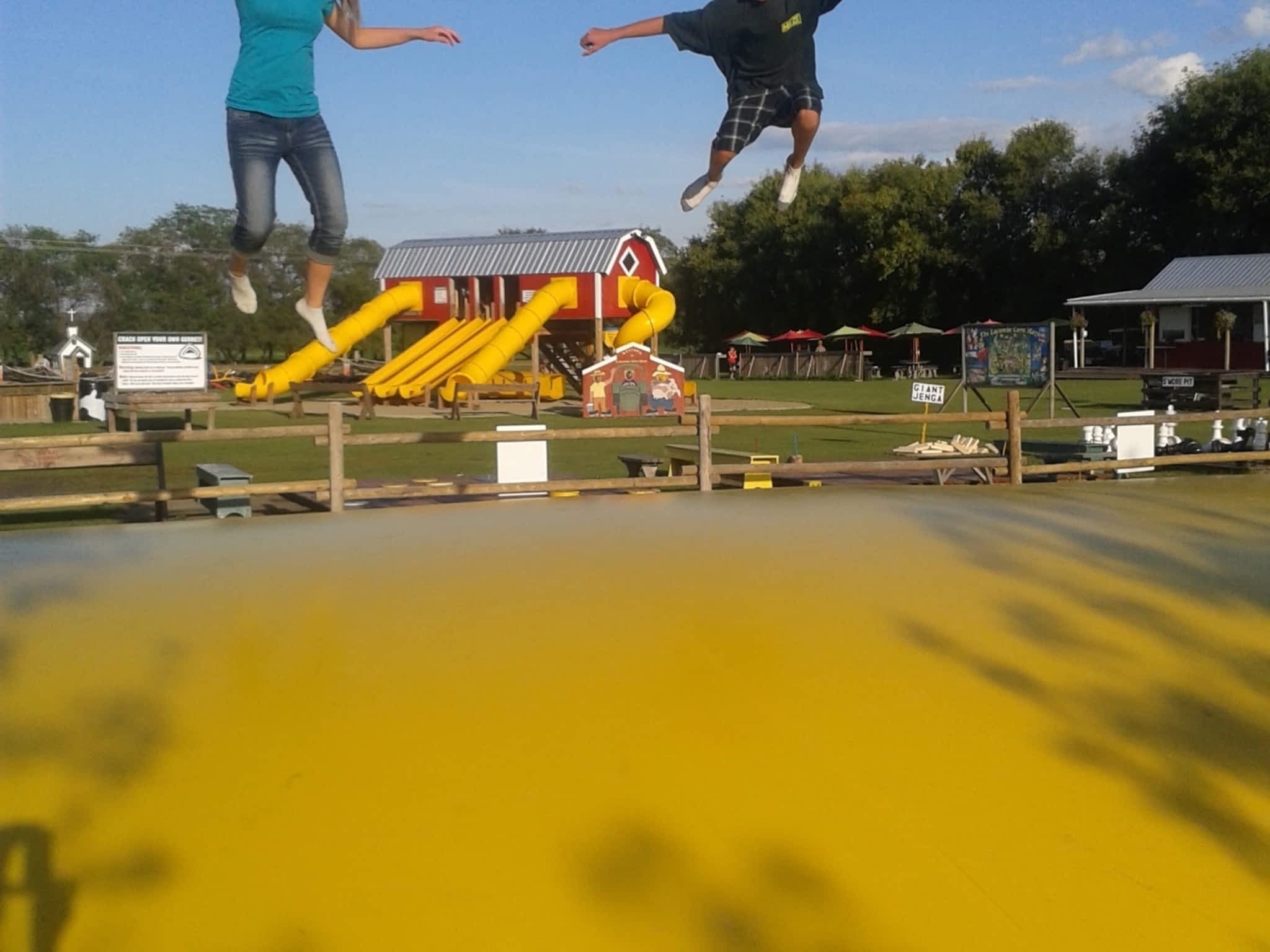 photo Lacombe Corn Maze