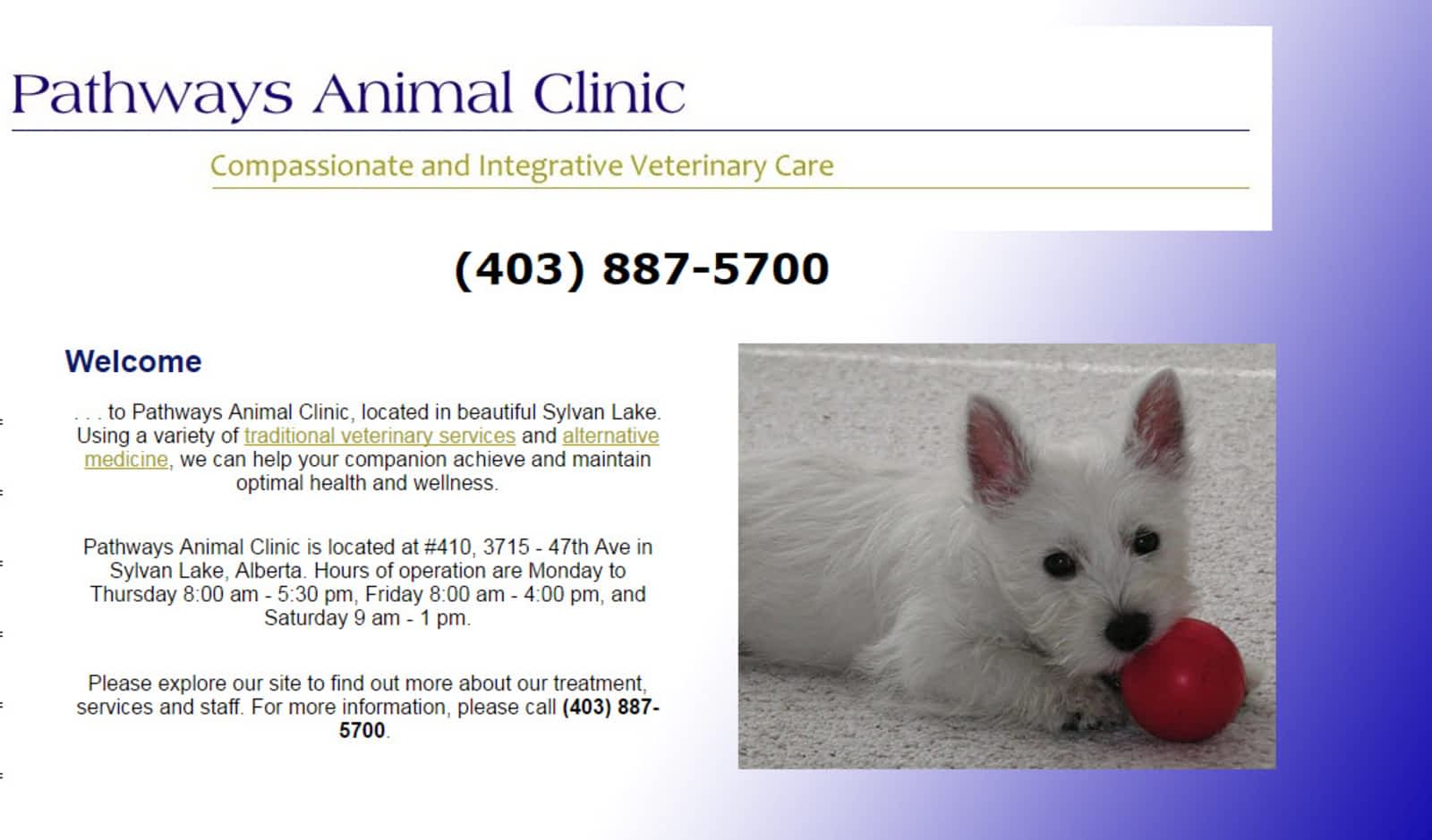 sylvan veterinary clinic