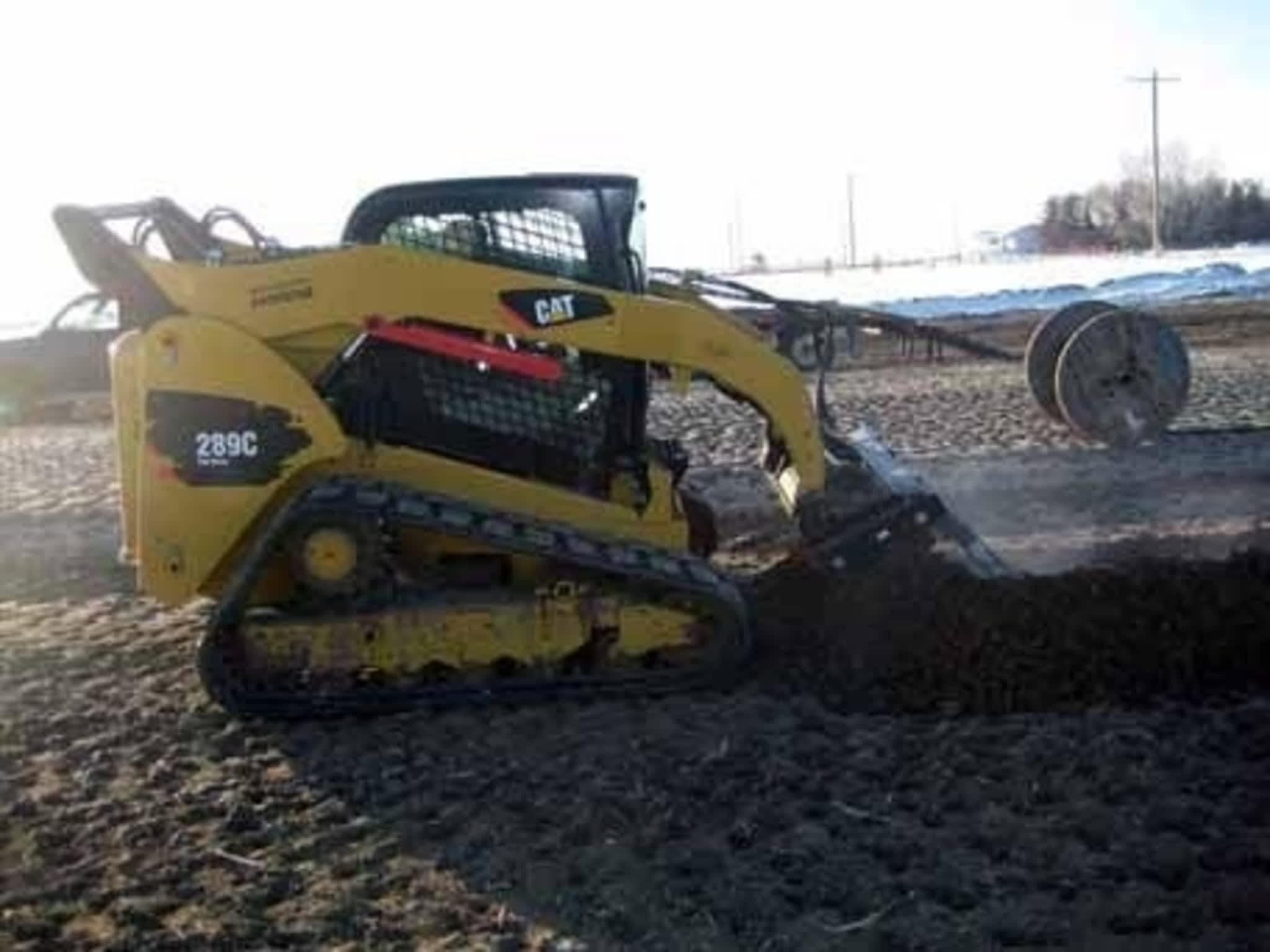 photo Elliott Cats Ltd