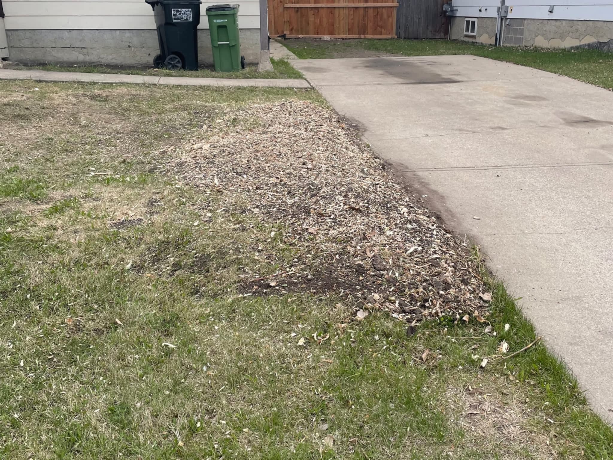 photo Grindpro tree stump grinding