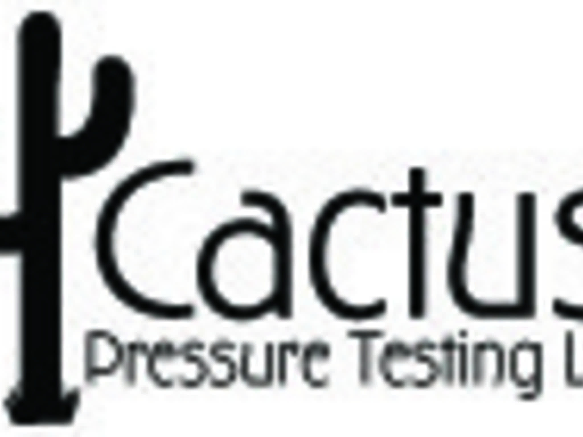 photo Cactus Pressure Testing