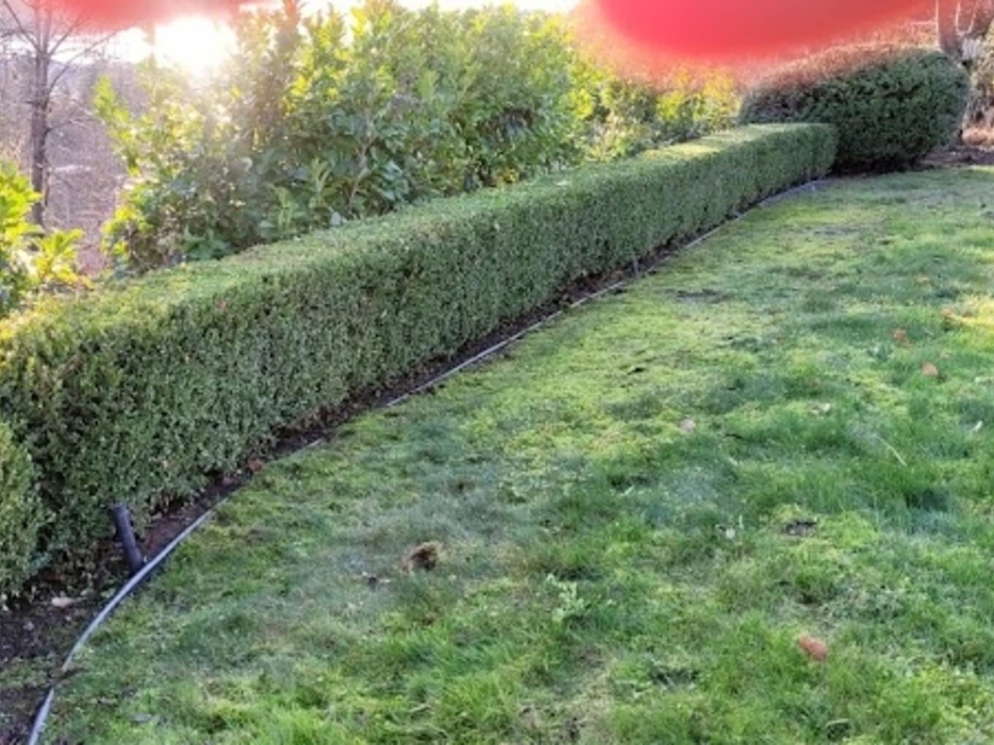 photo Twin Rivers Tree Service and Landscaping - Frase r Valley