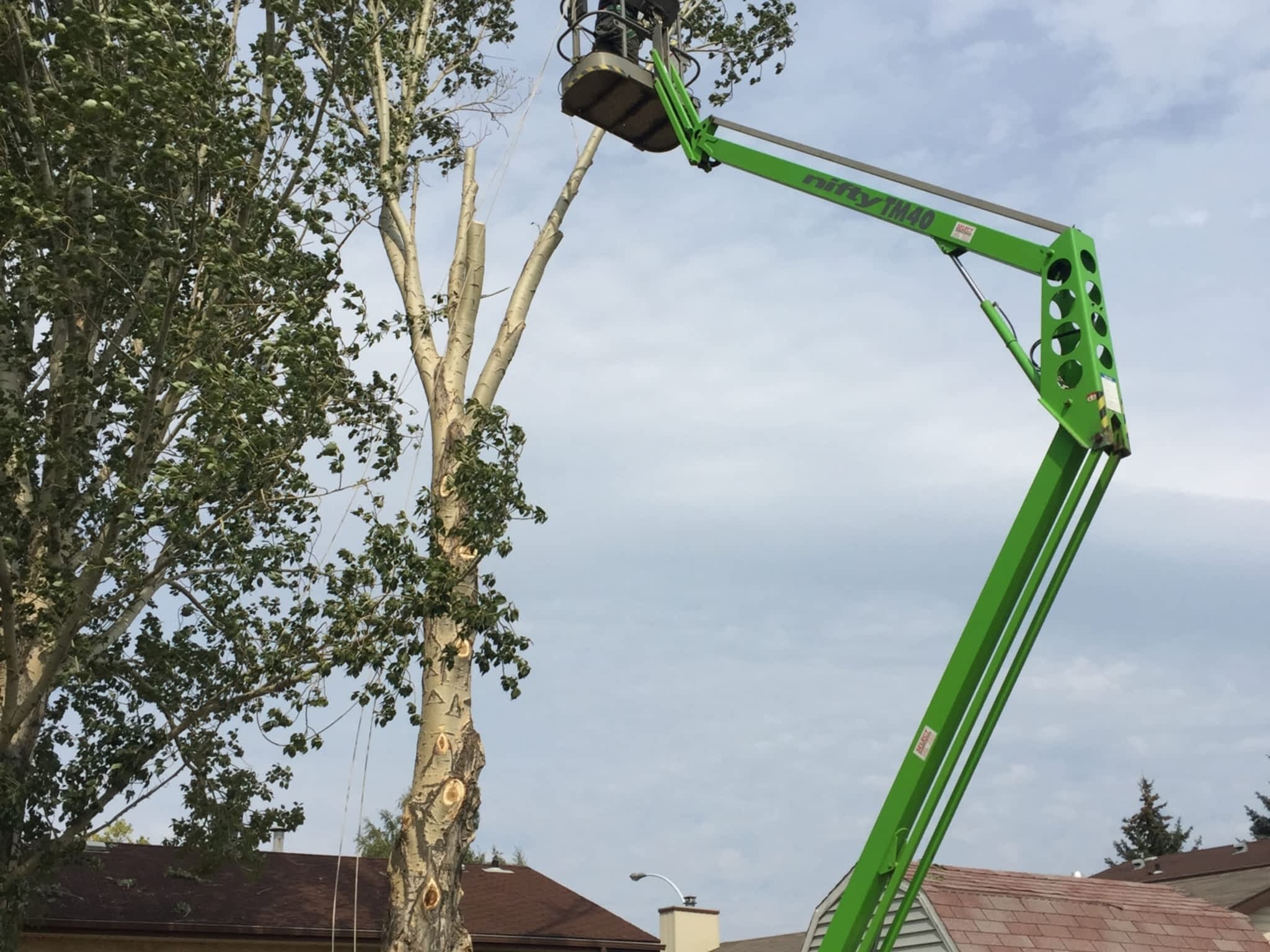photo J.R.'S Tree Removal & Pruning