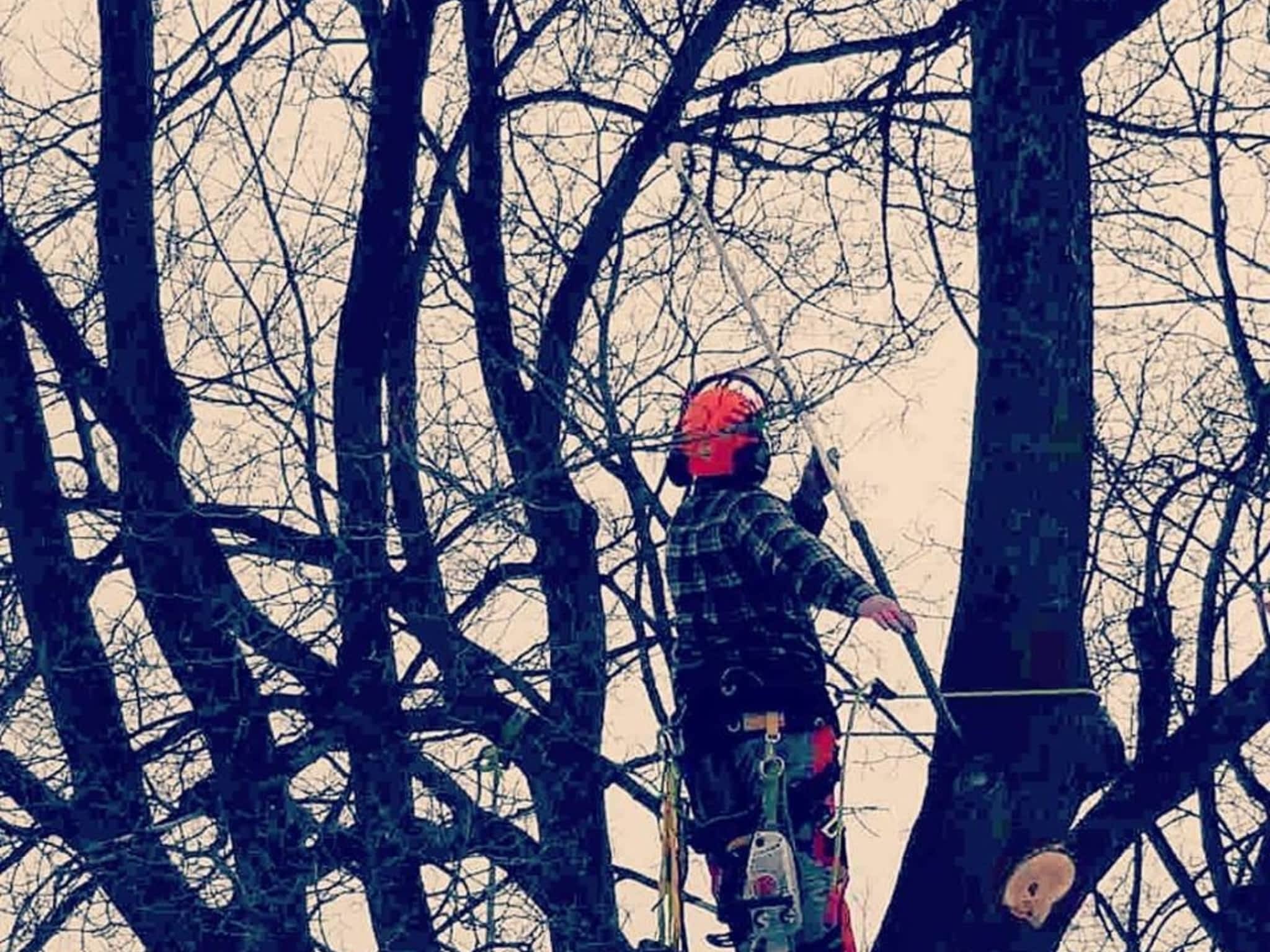 photo Axe Point Tree Services