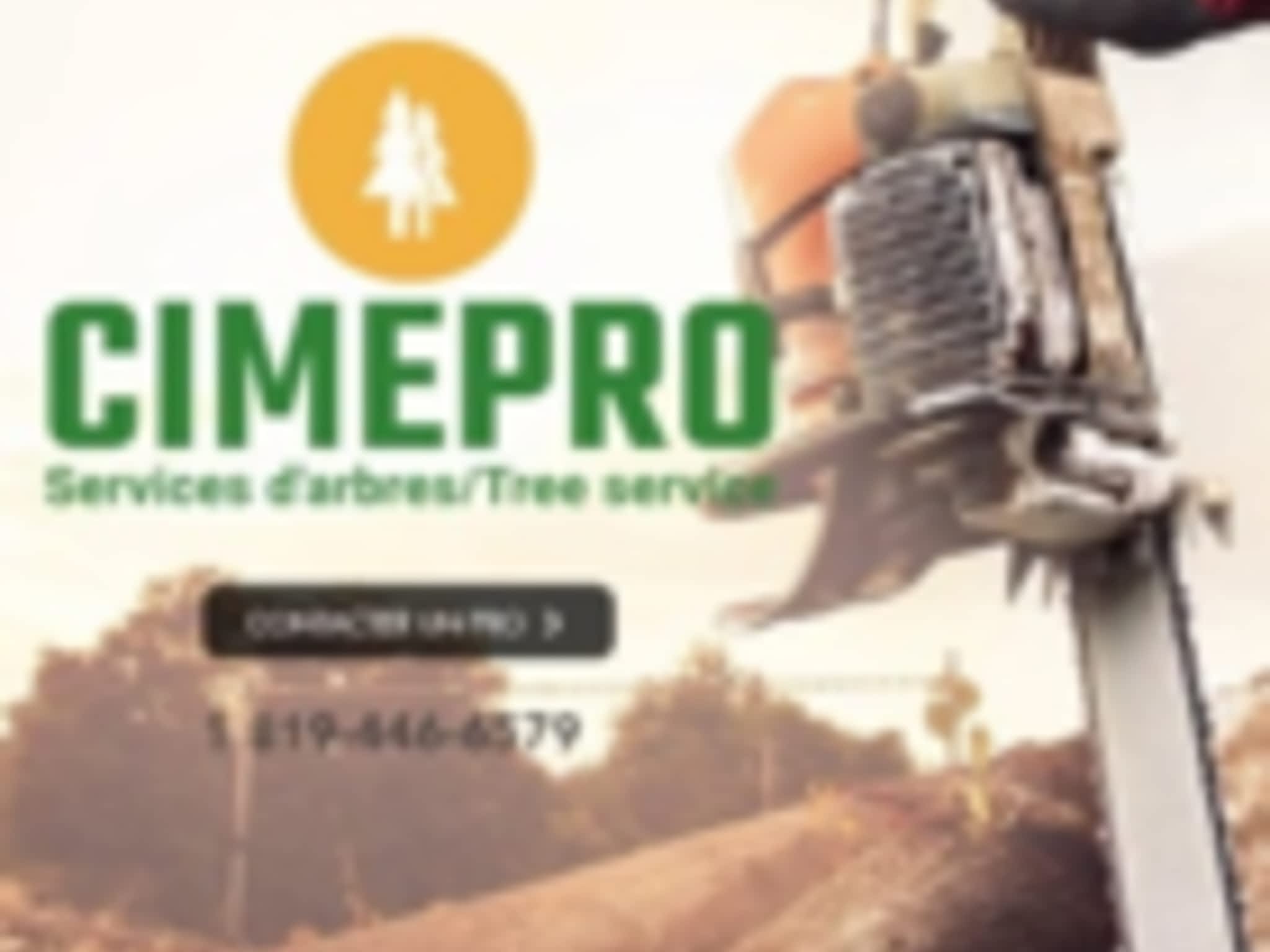 photo Cimepro Services d'arbres