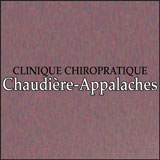 View Clinique Chiropratique Dre Julie Aussant’s Thetford Mines profile