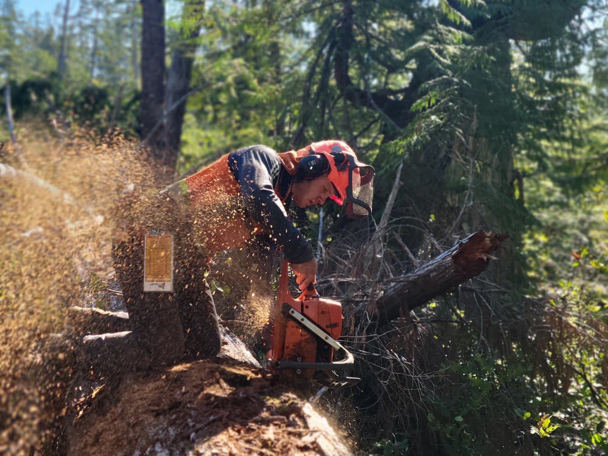 photo Valhalla Falling & Tree Services