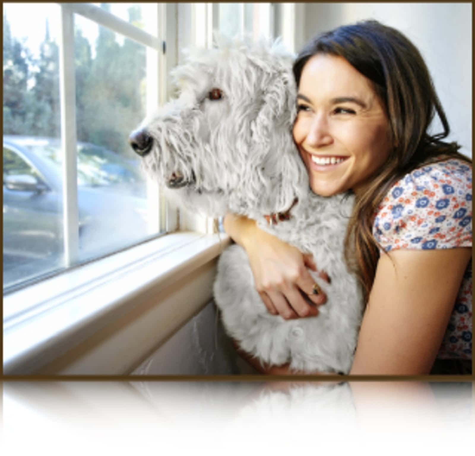 Walker Road Animal Hospital - Opening Hours - 3577 Walker Rd, Windsor, ON Walker Road Animal Hospital - Opening Hours - 3577 Walker Rd, Windsor, ON