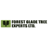 View Forest Glade Tree Experts Ltd’s Maidstone profile