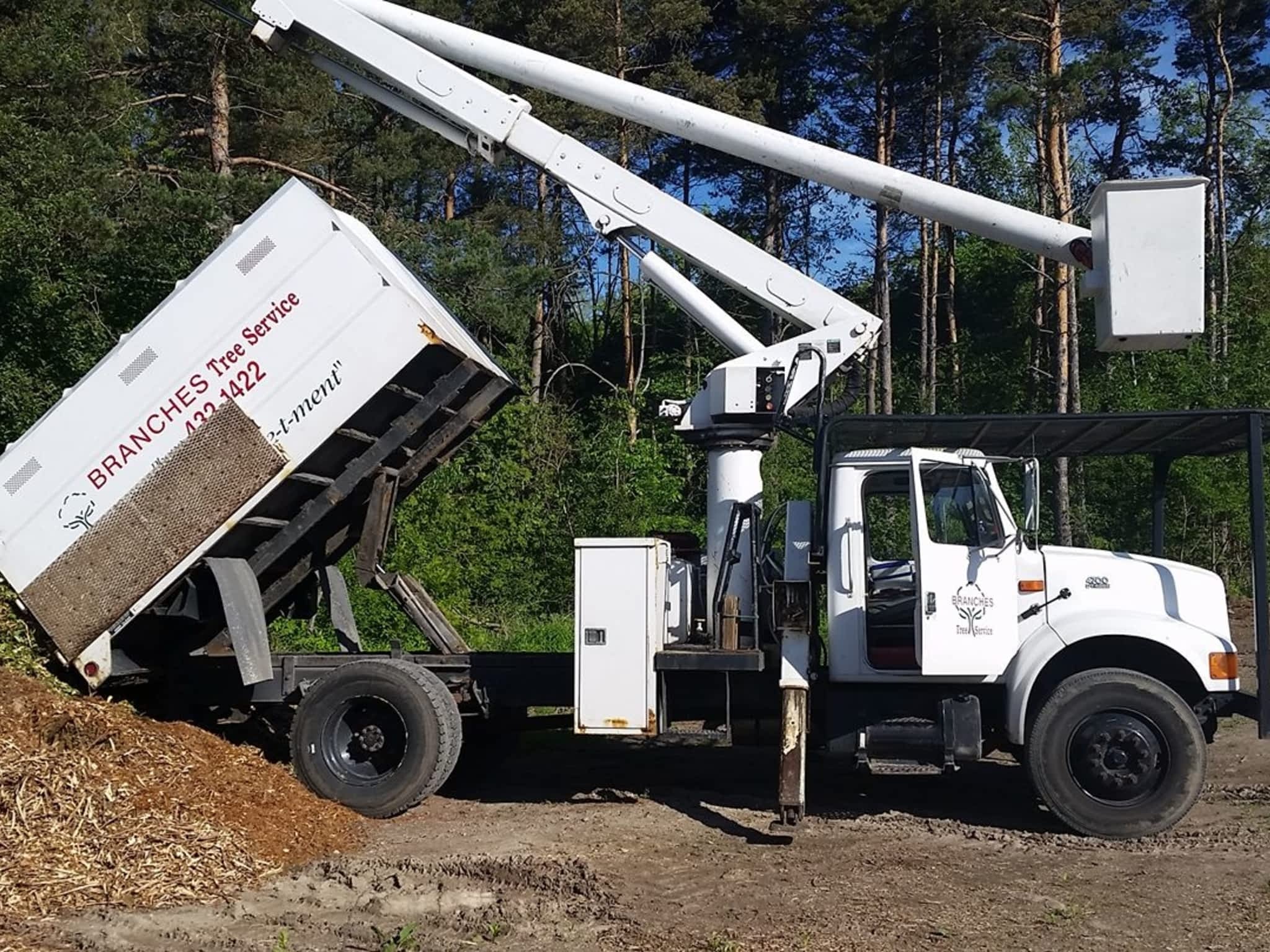 photo Branches Tree Service