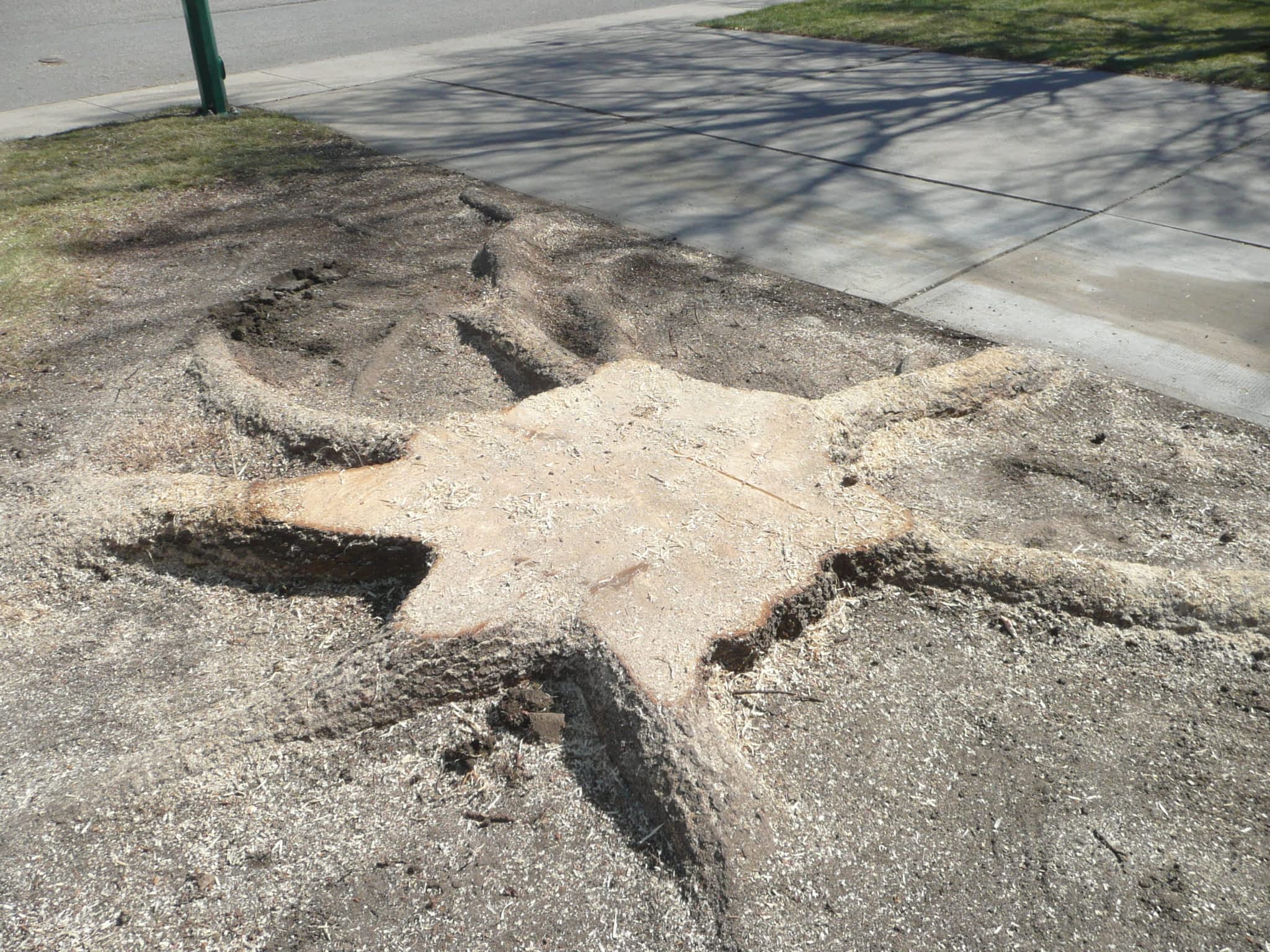 photo Mehrer Tree Service