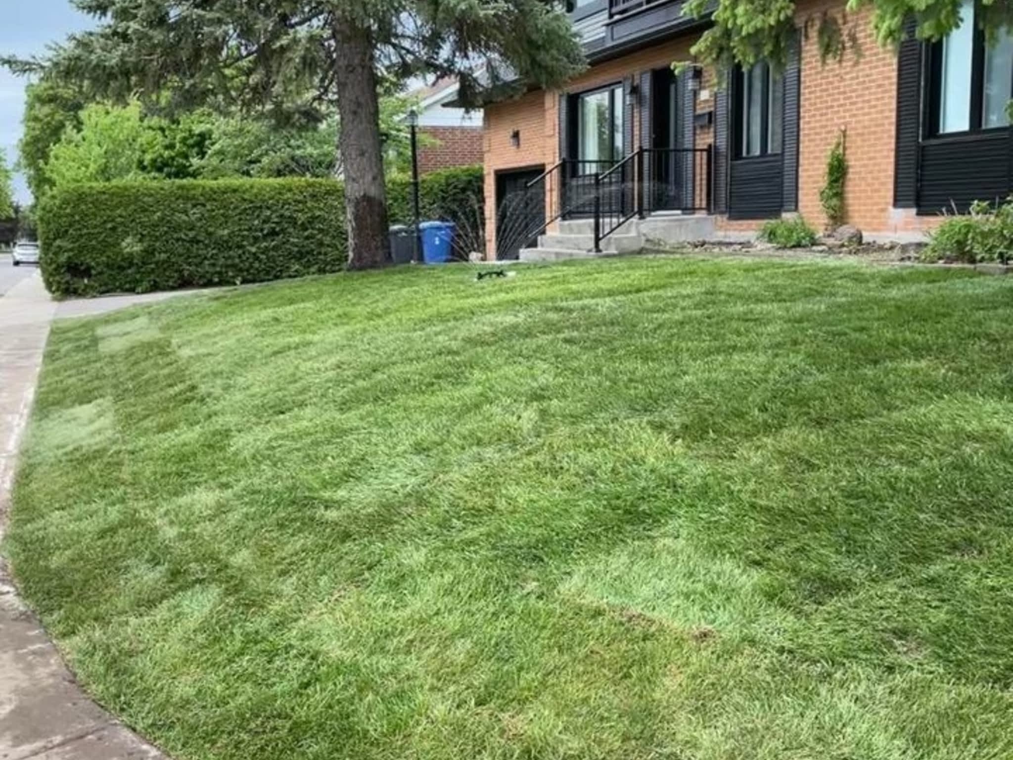 photo CTS Excavation