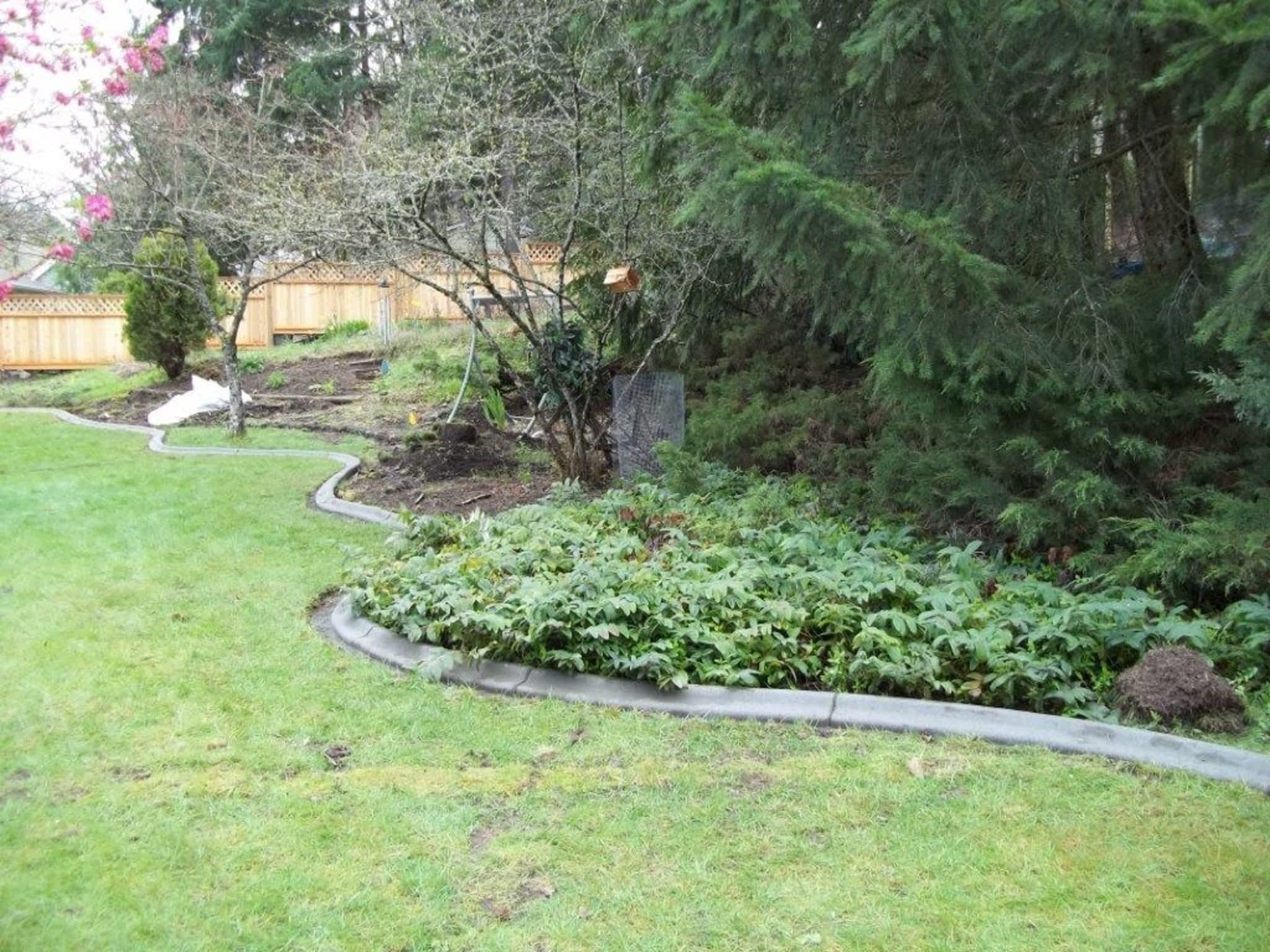 photo Dice Contracting Ltd