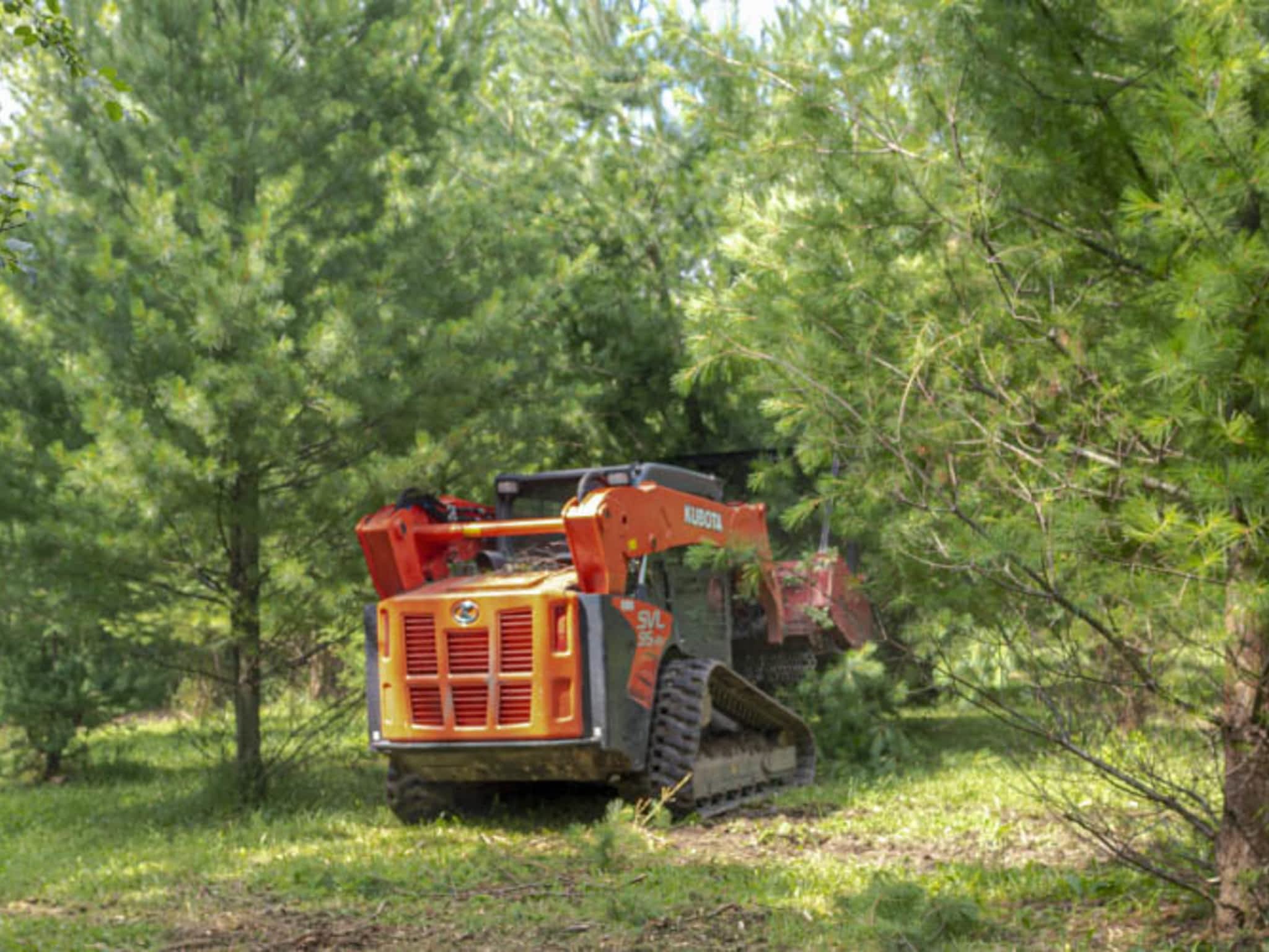 photo Field Mulching Services