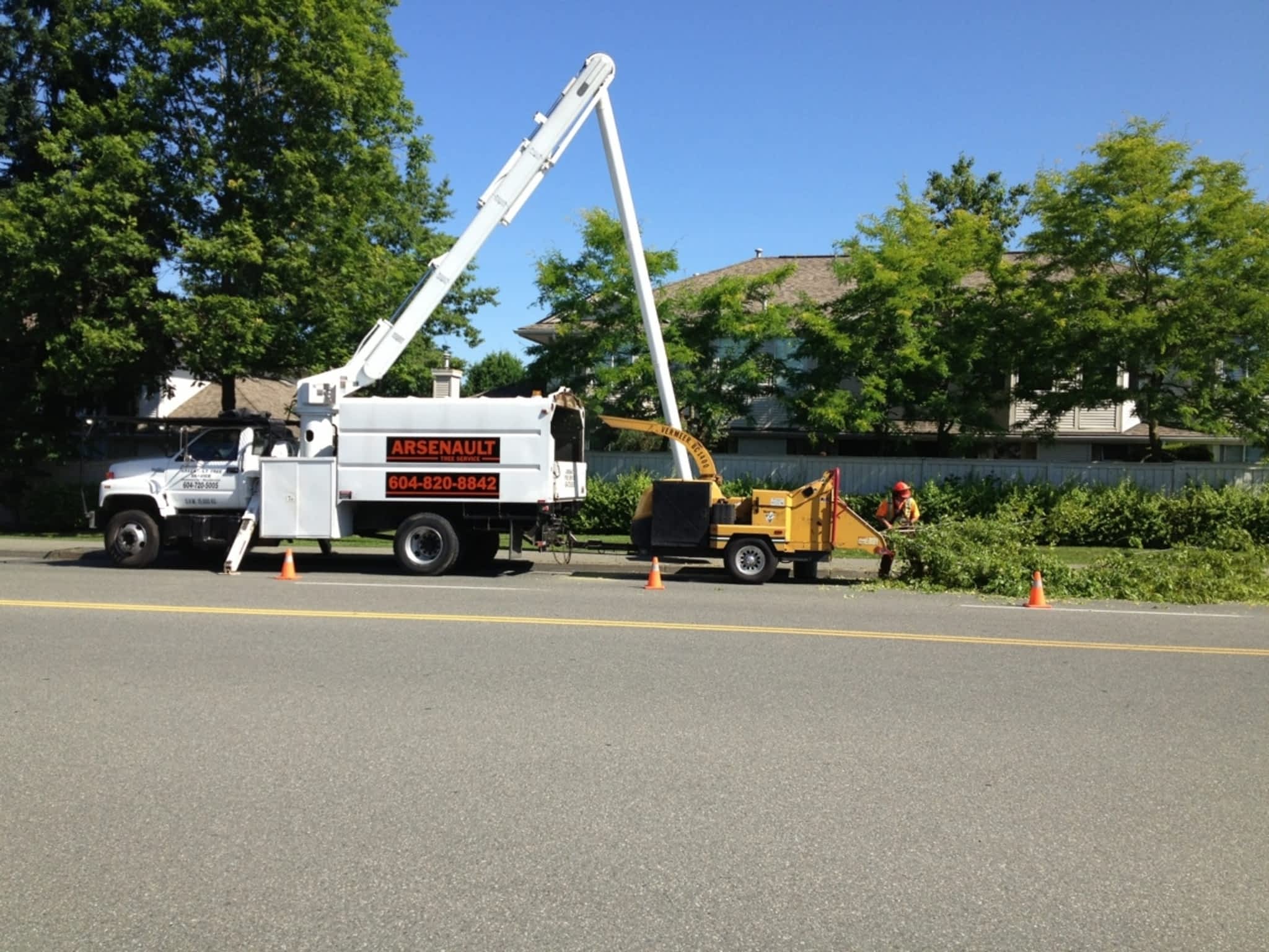 photo Arsenault Tree Service