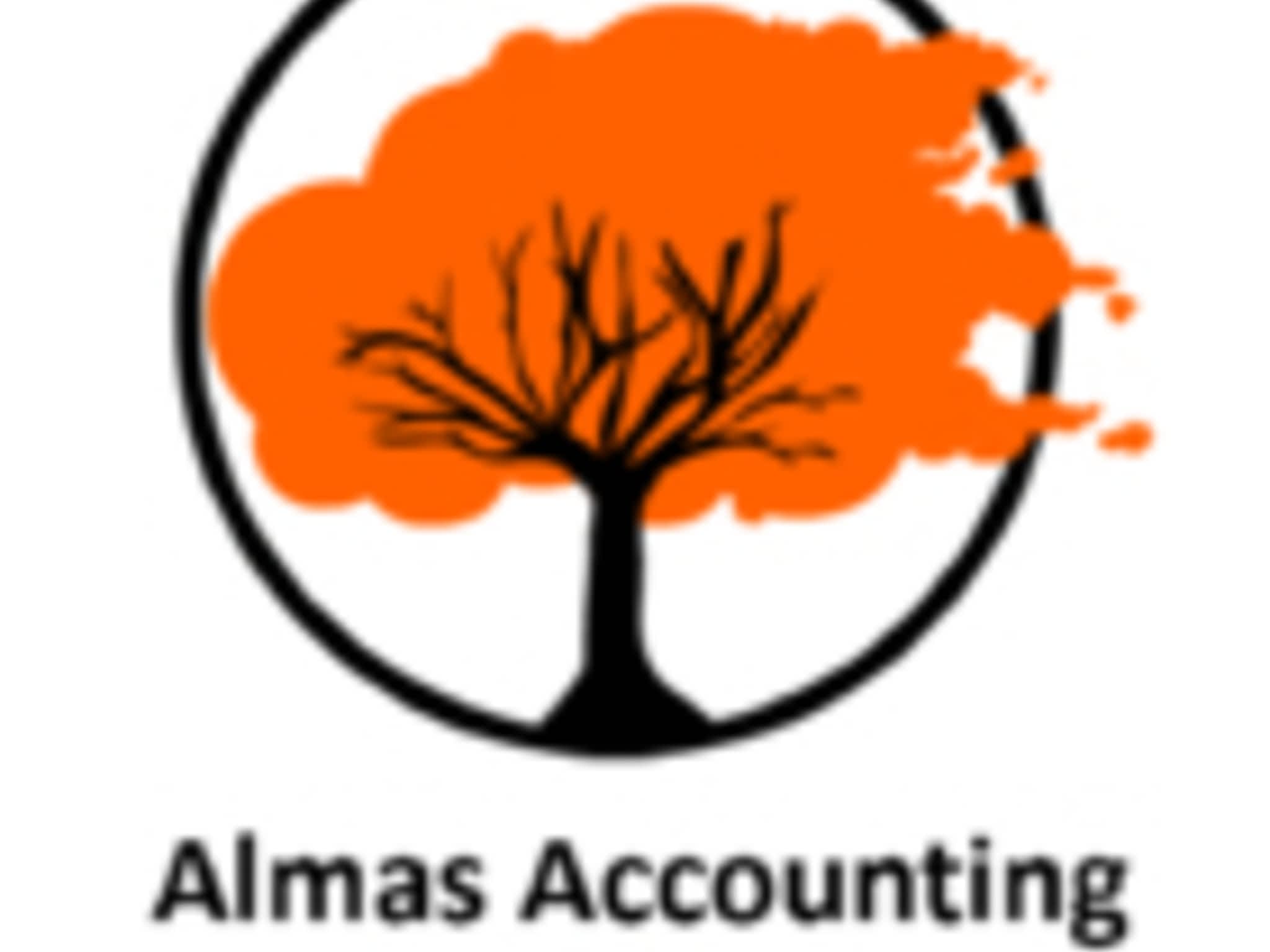 photo Almas Accounting and Tax Services